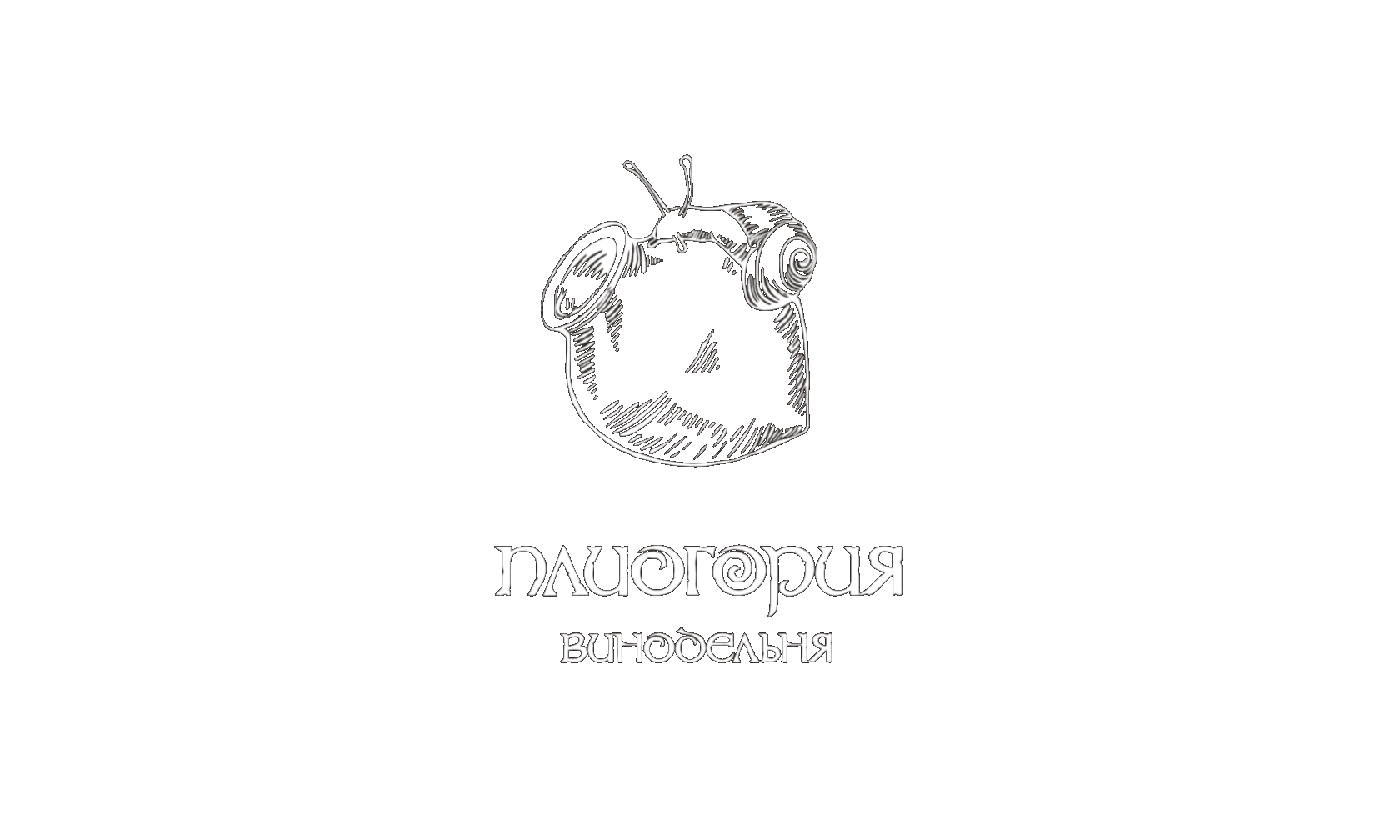 Плиогория